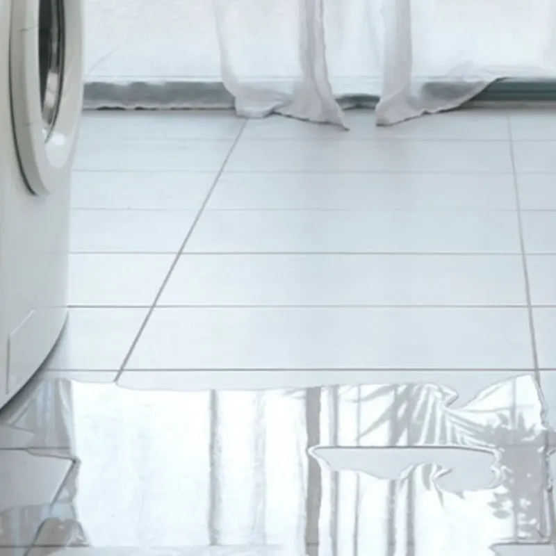 Appliance Leak Cleanup in Ephrata, WA