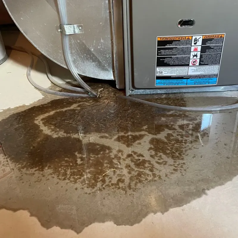 Pipe Burst and Leak Restoration in Ephrata, WA