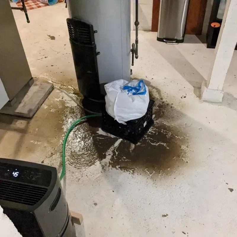 Sewage Backup Cleanup Service in Ephrata, WA